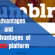 advantages and disadvantages of tumblr